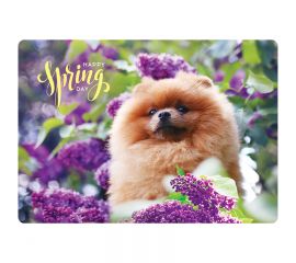 Настольное покрытие детское ArtSpace "Шпиц", 40,5*28,7см