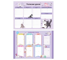 Расписание уроков с расписанием звонков А3 ArtSpace "Пиши-стирай. Милый кот" 350140