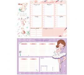 Расписание уроков с расписанием звонков А4 ArtSpace "Пиши-стирай. Cool girl" 311935