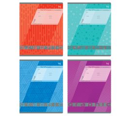 Тетрадь 24л., линия BG "Graphic", эконом Т5ск24 11744