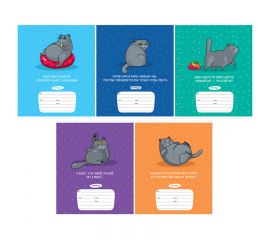 Тетрадь 12л., линия ArtSpace "Рисунки. Советы кота", эконом Т12лС_43234