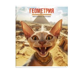Тетрадь предметная 48 л А5 клетка скоба "Селфи" - Геометрия