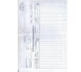 Расчетно-платежная ведомость Т-49