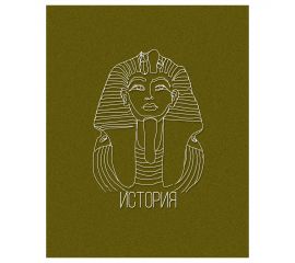 Тетрадь предметная 48 л А5 клетка скоба  История/16/48