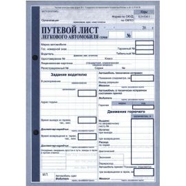 Путевой лист легкового авто А5