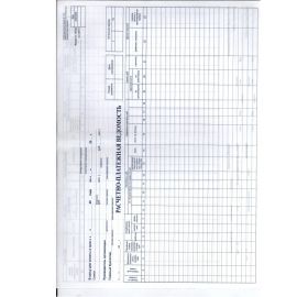 Расчетно-платежная ведомость Т-49