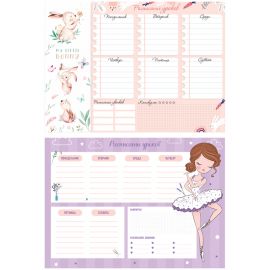 Расписание уроков с расписанием звонков А4 ArtSpace "Пиши-стирай. Cool girl" 311935