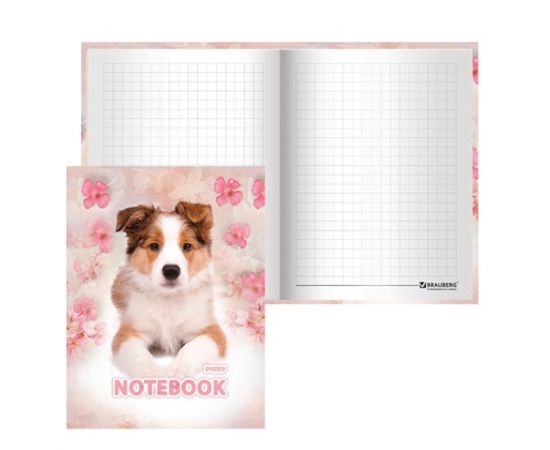 Блокнот А6, 80 л., обложка ламинированная, клетка, BRAUBERG, 110х147 мм