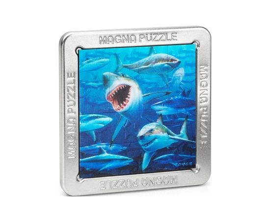3D Magna пазл  в ассортименте