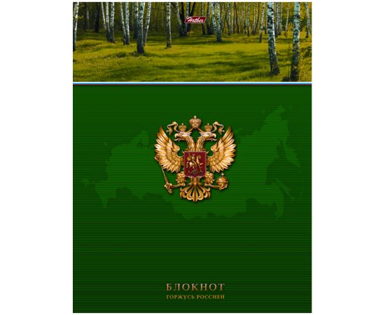 Блокнот А5 80 л ХАТБЕР бизнес-блокнот 5-цв блок