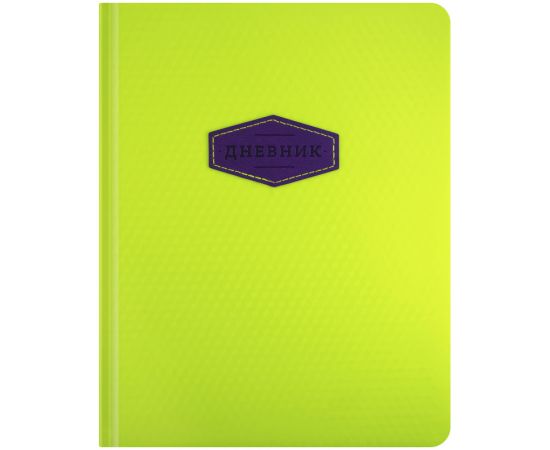 Дневник 1-11 кл. 48л. (твердый) "Back to school", тонир. блок, ляссе,магн. клапан, тиснение