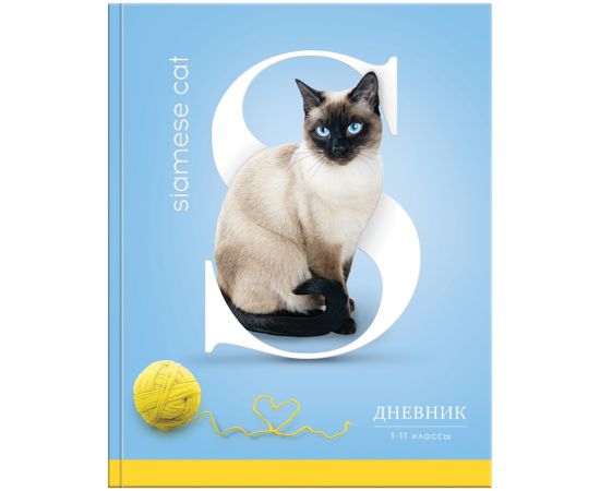 Дневник СПЕЙС,1-11 класс ЛАЙТ,ассорти