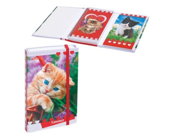 Записная книжка+блокнот А6 80 +50л. греб/скл., на резинке Хатбер