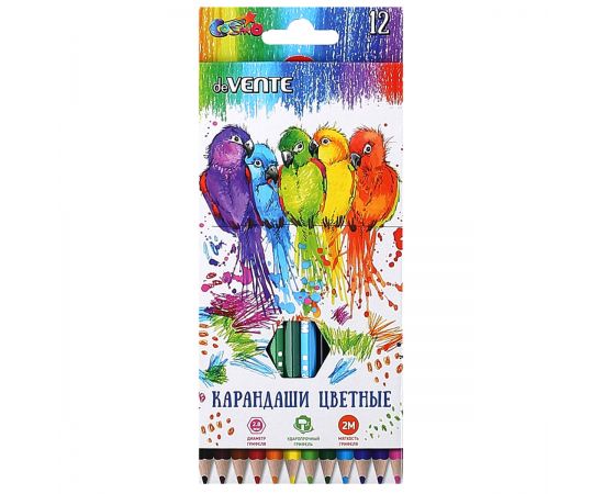 Карандаши цветные 12 цветов, дерево, шестигранный Cosmo deVENTE 5022303