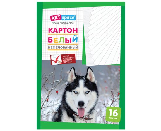 Картон белый A4, ArtSpace, 16л., немелованный, в папке