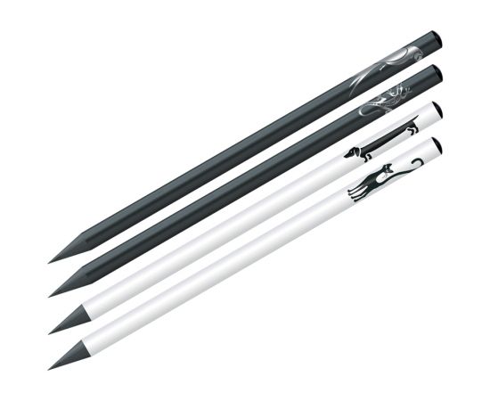 Карандаш ч/г Berlingo "Riddle" HB, черное дерево, круглый, заточен., ассорти