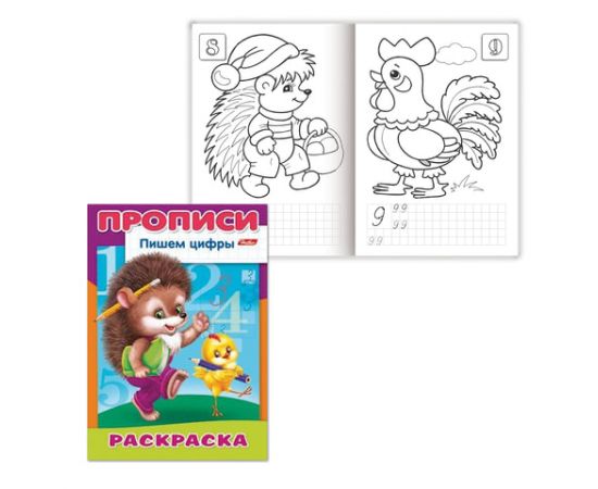 Книжка-раскраска А4, 8 л., HATBER, Прописи-Цифры, "Ежик", 8Р4 10919, R006925