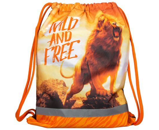 Мешок для обуви 1 отделение ArtSpace "Дикие кошки", 370*470мм, светоотражающая полоса