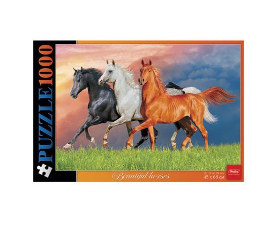 Пазлы 1000  элементов