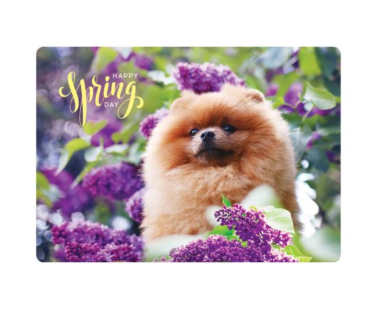 Настольное покрытие детское ArtSpace "Шпиц", 40,5*28,7см