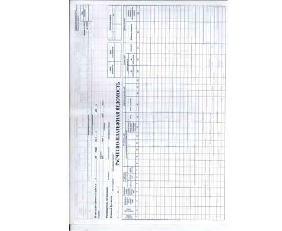 Расчетно-платежная ведомость Т-49