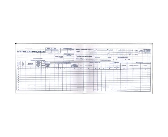 Расчетно-платежная ведомость Т-49 (мини)