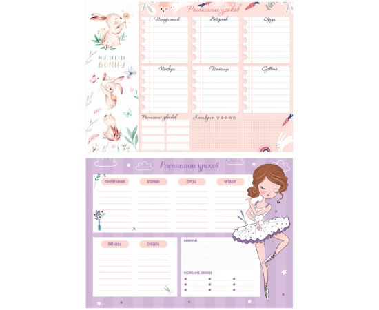 Расписание уроков с расписанием звонков А4 ArtSpace "Пиши-стирай. Cool girl" 311935