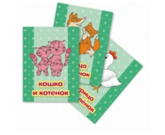 Развивающие карточки "Буквы,Цвета,Мама и детки",(10штуп)КВАДРА,в ассортименте