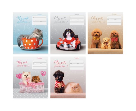 Тетрадь 12 л линия косая СПЕЙС,мел.картон,ассорти