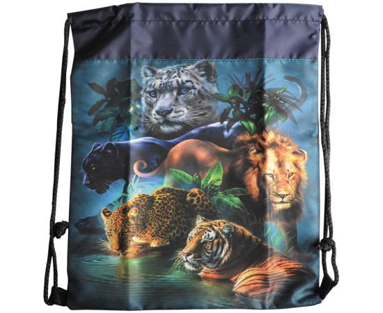 Сумка для обуви СПЕЙС рисунок,ассорти