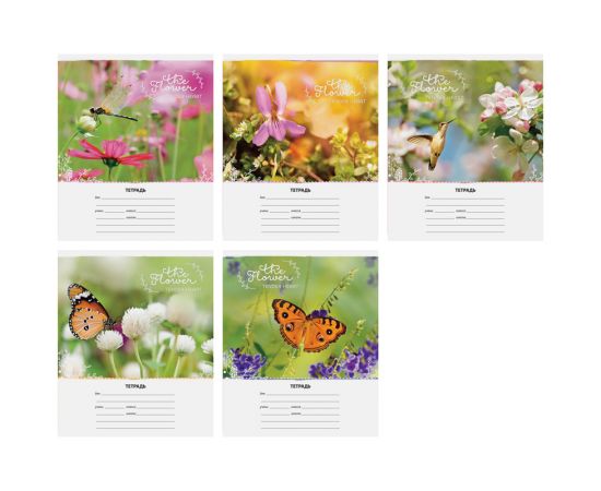 Тетрадь 18 л, клетка СПЕЙС,мел.картон,ассорти