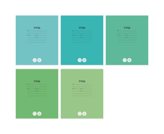 Тетрадь 12 л линия косая,частая СПЕЙС,мел.картон,в ассортименте