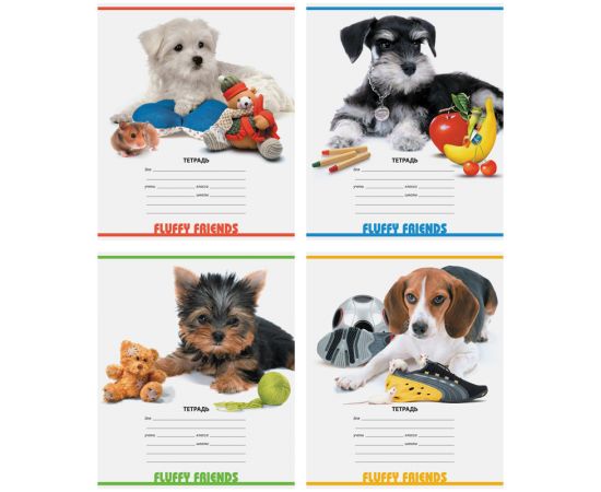 Тетрадь 12 л линия узкая СПЕЙС,АССОРТИ