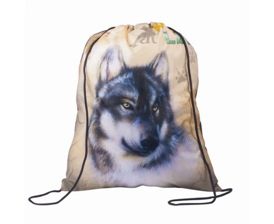 Сумка для обуви для начальной школы