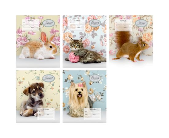 Тетрадь 18 л линия СПЕЙС,мел.картон,ассорти