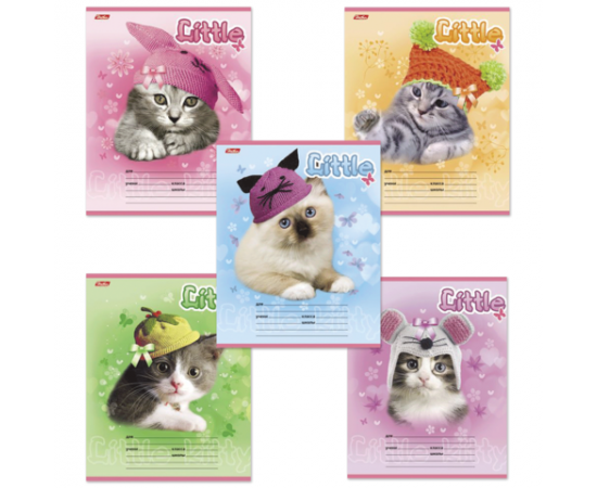 Тетрадь 12 л клетка ХАТБЕР,мел.картон,в ассортименте