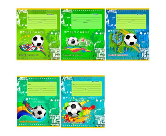 Тетрадь 12 л линия Проф-пресс