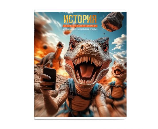Тетрадь предметная 48 л А5 клетка скоба "Селфи" - История