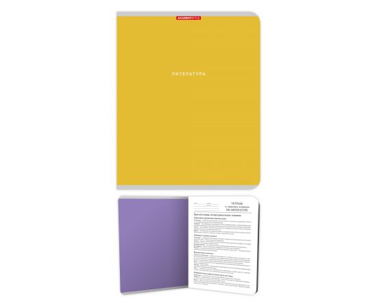 Тетрадь предметная 48 л А5 линия скоба "Однотон" - Литература