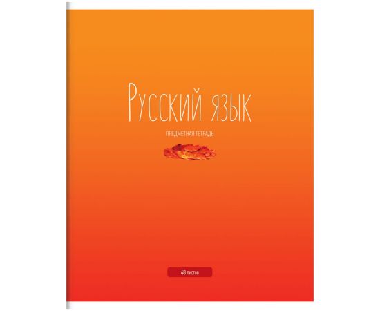 Тетрадь предметная 48л. ArtSpace Русский язык, глянцевый уф-лак