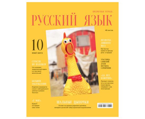 Тетрадь предметная 48л. BG "Скандальности" - Русский язык, глянцевая ламинация ТП5ск48_лг 11649