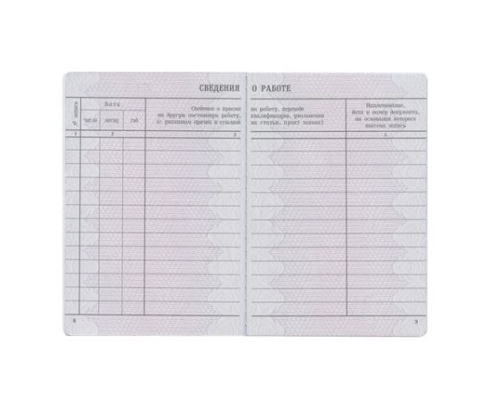 Вкладыш в трудовую книжку, Гознак