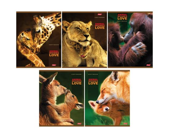 Тетрадь 60 л А5 клетка (HATBER), ассорти