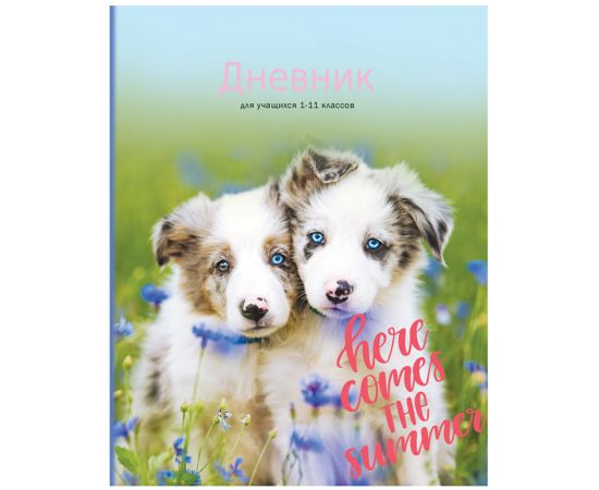 Дневник 1-11 кл. 40л. (твердый) BG "Лучшие друзья", глянцевая ламинация Д5т40_лг 10201
