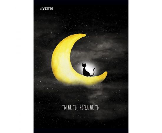 Тетрадь 80 л А4 клетка скоба "Ты не ты, когда не ты"/5/35