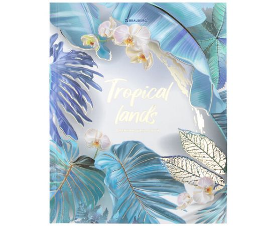 Дневник 5-11 класс 48 л., твердый, BRAUBERG, фольга, с подсказом, "Тропики", 106417