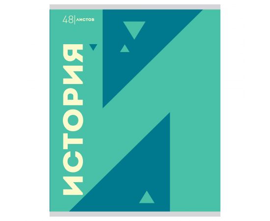 Тетрадь предметная 48 л А5 клетка скоба "Буквы" - История
