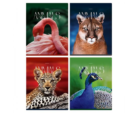 Тетрадь 96л., А5, клетка BG "Животные", глянцевая ламинация