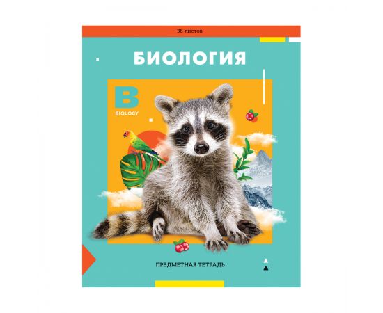 Тетрадь предметная 36л. ArtSpace "Пять в квадрате" - Биология, эконом Тп36к_47961