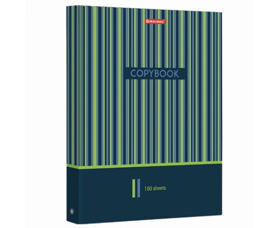 Тетрадь на кольцах БОЛЬШОГО ФОРМАТА 225х300 мм А4, 100 л., обложка картон, клетка, BRAUBERG, "Полосы
